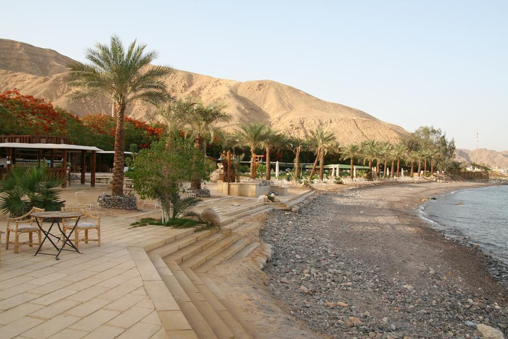Tobya Boutique Hotel Taba Værelse billede